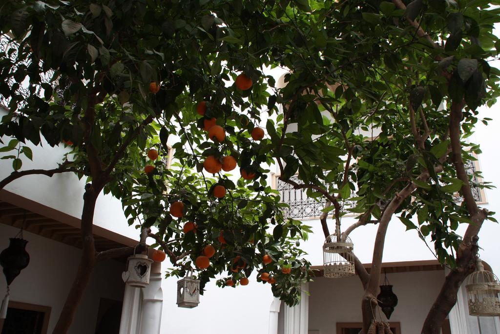Riad Les Orangers D'Alilia Марракеш Екстер'єр фото