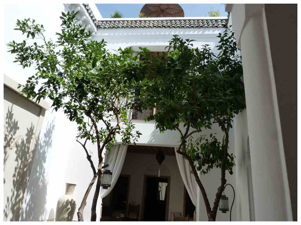 Riad Les Orangers D'Alilia Марракеш Екстер'єр фото